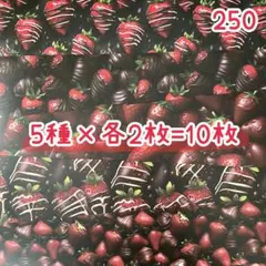 ［250］おりおんかふえ様 デザペ♡10枚