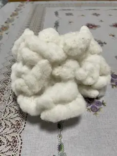 和綿コットン(種付き) 50g 令和7年産