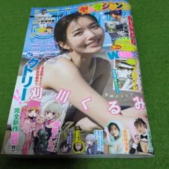 Item thumbnail for item 57444a96-9716-4544-81ed-e5099c9af6e2