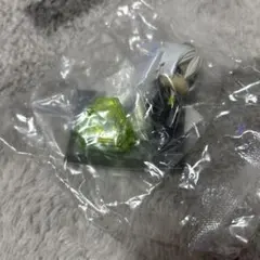 シルバー　ツイステッドワンダーランド　すわらせ隊　ツイステ