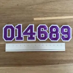 紫色 八角形 ワッペン 014689