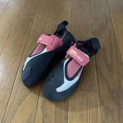 Item thumbnail for item f5e4f38c-a266-4039-900a-987f643ded96