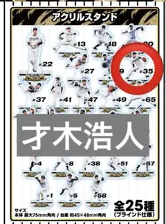 才木浩人　阪神タイガース 2025 JERA セ・リーグ優勝記念くじ