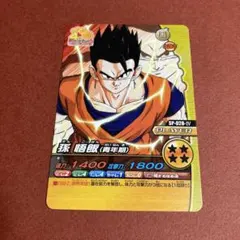 孫悟飯（青年期）ドラゴンボールＺ　Ｗ爆烈インパクト