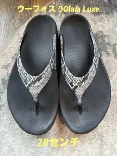 Item thumbnail for item 40baf5b3-2c84-43ca-9d9d-59002c4b6923