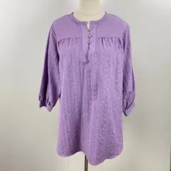 訳あり TAKASHIMAYA Style Plus 刺繡入りチュニックブラウスのサムネイル