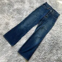 EVISU LOT.2017 カモメペイントセルビッチデニム 28×30 ペンキ