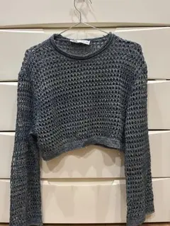 ZARA ショート丈ラメメッシュニット