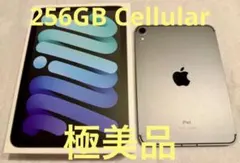 極美品 iPad mini 本体 第6世代 256GB セルラー スペースグレイ