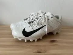 Item thumbnail for item cc66120f-3192-475a-bfaf-1d460235abda