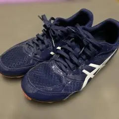 Item thumbnail for item 12dfced2-2026-4761-a027-5c9ec6f89db5