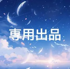 専用出品