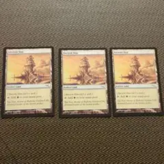 MTG 古えの居住地 3枚のサムネイル