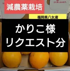 かりこ様　リクエスト分