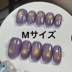 【セツ】マグネット　ネイルチップ　付け爪(A1672)
