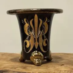 装飾的な陶器製植木鉢 万年青鉢 盆栽 園芸 ガーデニング 2 Amazon｜万年青（オモト）有田（ありた）2鉢セット販売♪和風の和み