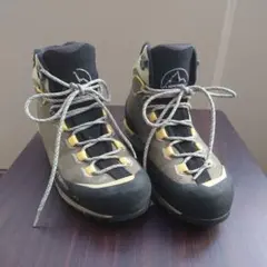 Item thumbnail for item d6afd79b-d6b9-4352-a35e-cc4ecf08d610