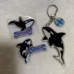 2025年最新】鴨川シーワールド マグネットの人気アイテム - メルカリ