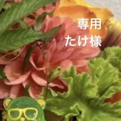 専用ページ たけ様