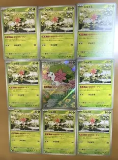 【美品】シェイミ AR 066/063/ U 006/063 8枚