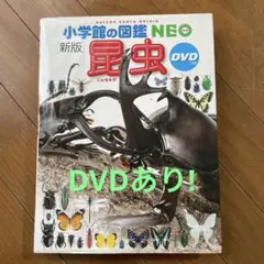 DVD付き！小学館の図鑑NEO 昆虫