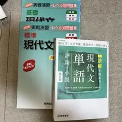 【即日配送】現代文セット