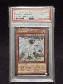 POP9】PSA10 ELDEN RING 暗月の指輪 ウエハース 魔女ラニ - メルカリ