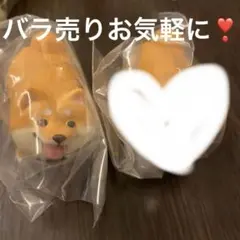 いい感じの棒をゲットした犬 柴犬