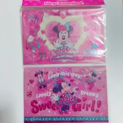 東京ディズニーランド ミニーのファンダーランド ポストカード2枚