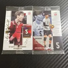 大塚達宣 バレーボール男子日本代表 トレーディングカード 2枚 ウエハース