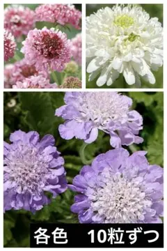 あき様 リクエスト 2点 まとめ商品