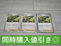 ナタネの活気　3枚　ポケモンカード