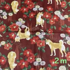 Item thumbnail for item 9a934554-2eb0-4388-9204-07a89002fbd9