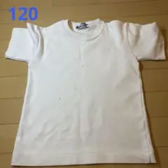 ホワイト Tシャツ 体操服　120サイズ