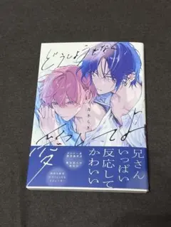 どうしようもなく愛してよ 新品