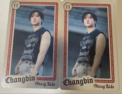 straykids スキズ チャンビン ライブフォトカード トレカ エコパ