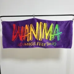 2026年最新】国内アーティスト：WANIMA ミュージシャン タオルの人気