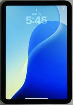 【SIMフリー】iPad mini Cellular 128GB スペースグレイ