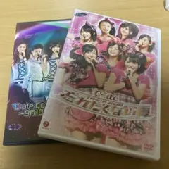 Cute Cutie Circuit 2008 DVD