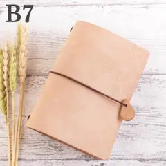 Item thumbnail for item e7b9baf1-f5cc-441b-9ef1-b747e96b5ca0