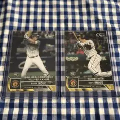 Item thumbnail for item fe65f5f3-4b40-45f5-9534-dd310daf1df7