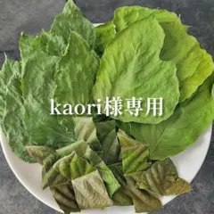 kaori様専用です♪【同梱お値引き済み】