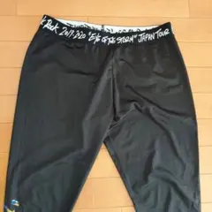 Eye of the Storm Japan Tour タイツ