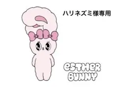 ハリネズミ様専用