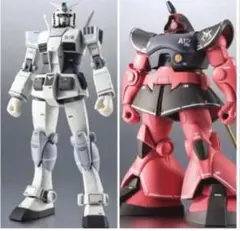 ROBOT魂 G-3 ガンダム & シャア専用リック・ドム リアルマーキング