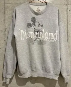 USA Disney × Hanes ヴィンテージかすれプリントスウェットシャツ