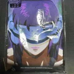 GEEKS RULE x Infinite Archives x 攻殻機動隊