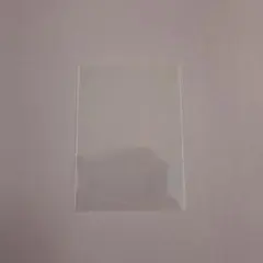 超美品 早い者勝ち ただのスリーブ