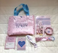 SEVENTEEN FAN MEETING セブチ プレミアムシート特典グッズ