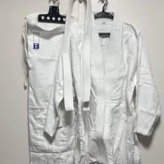 Item thumbnail for item 422a5942-076b-4cca-9334-5fc4d26e8fcb